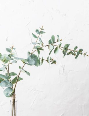 Visuel Greenery, article de blog Les Mignonneries de Noémie